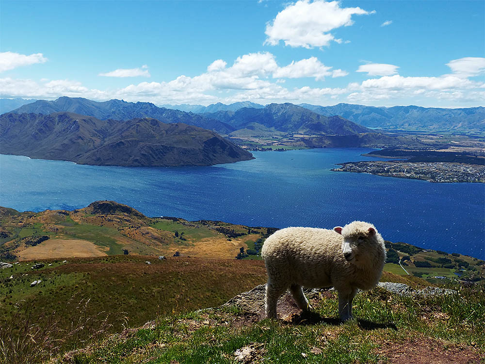 Top 10 Most Beautiful Places in New Zealand - E&T Abroad