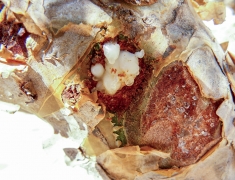 Detail flowing frankincense