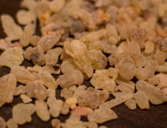 Frankincense
