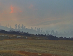 Literally "moonscape"