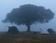 Our camp early morning - on the top crater Ngorongoro