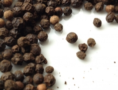 pepper-1292575_1280-1024x1024