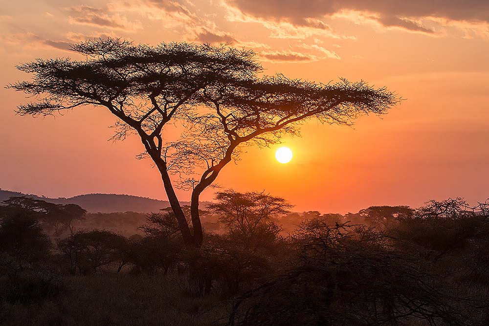 Travel Guide to Tanzania and How to Enjoy Safari- E&T Abroad