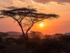 Stmívání nad pláněmi Serengeti