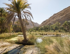 Wadi Bani Khalid