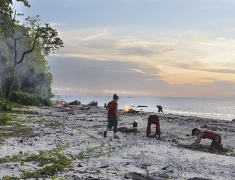 Cleaning beaches from garbage