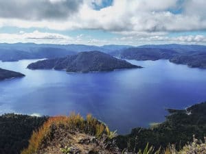 Urewera national park