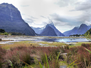Milford Sound