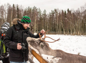 Tom feeds begging reindeers
