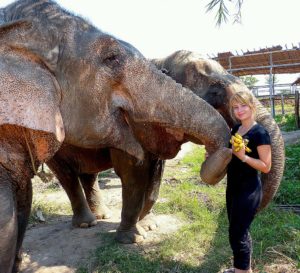 Eva feeding the elephants