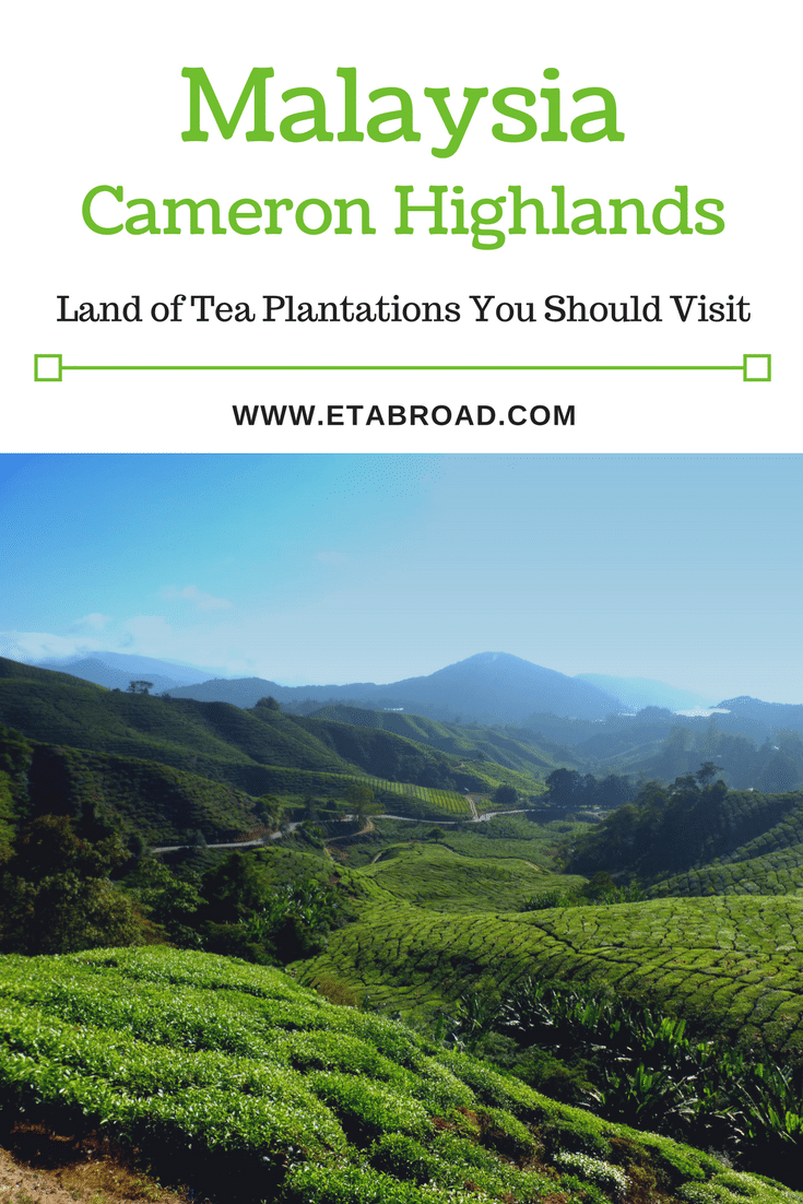 Malaysia Cameron Highlands