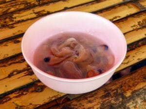 Tamilok - the raw worm