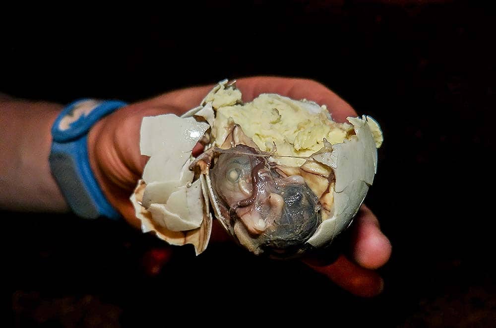 Balut - the duck egg with embryo