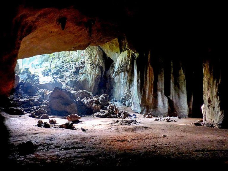taman negara tour cave