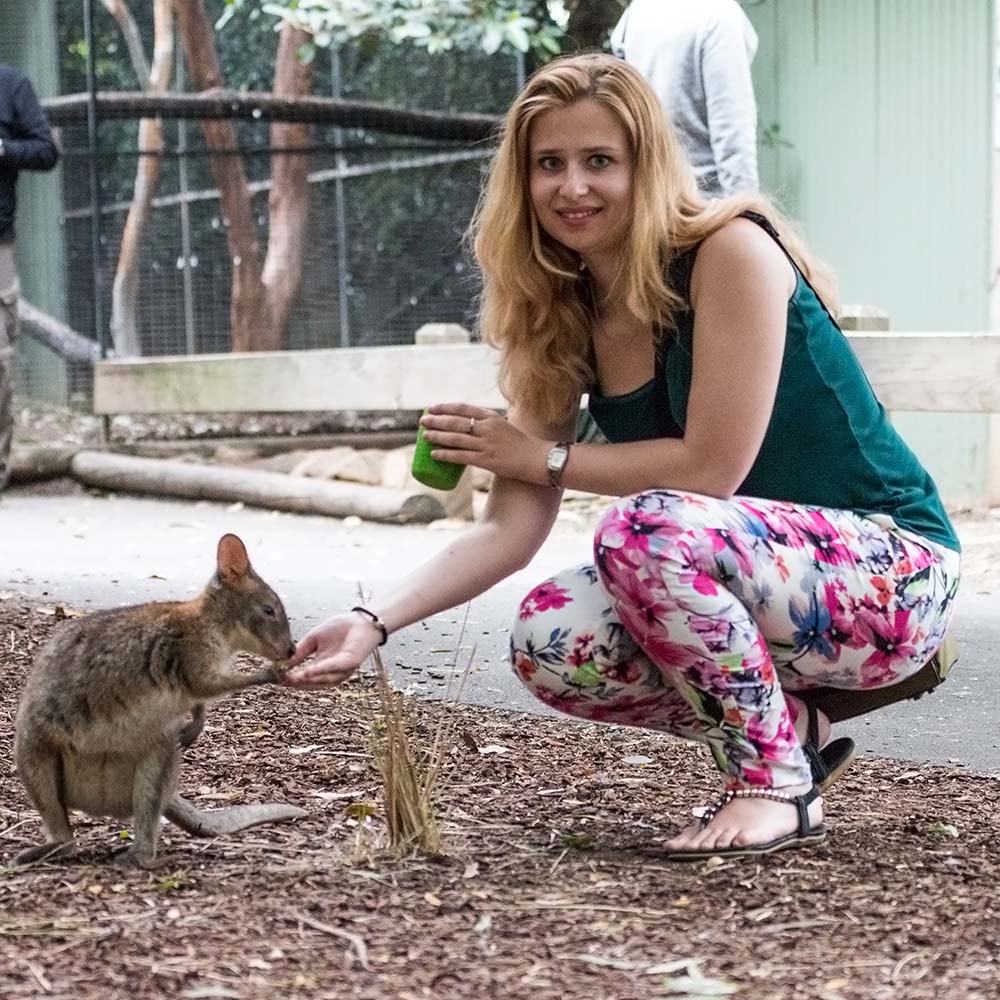 Eva is feeding the kangaroo - E&T Abroad