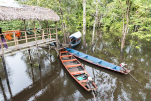 On the Amazon it is travelling mainly by boat