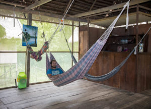 Relaxation in the Amazon Forest