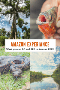 Amazon Experience