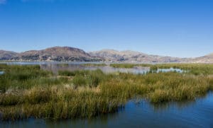 Cruise on Lake Titicaca