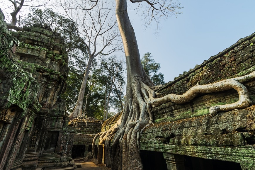 Ta Prohm | Angkor Wat