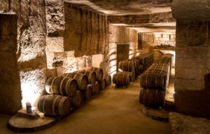 Barrels with the vine