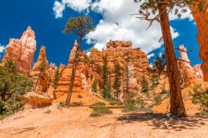 Bryce Canyon Navajo Loop Trail