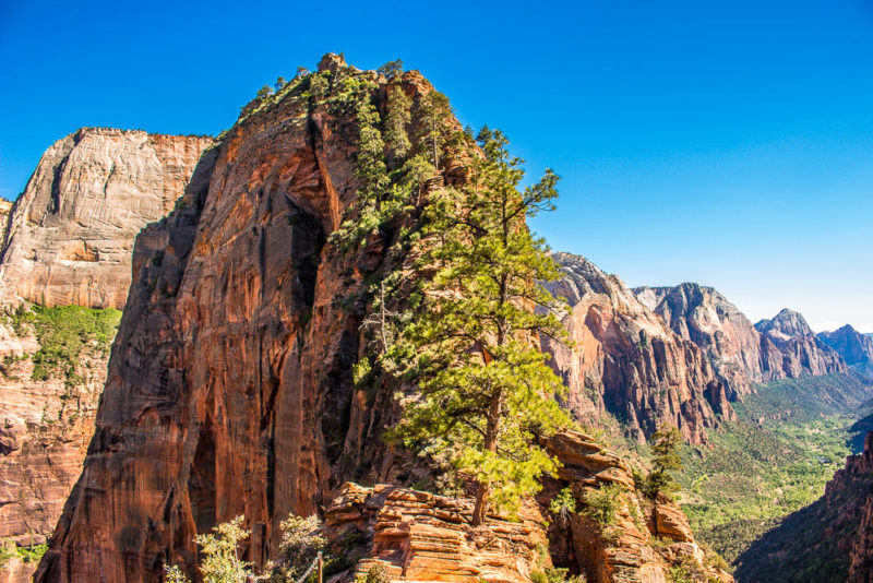 USA - Visit the Stunning Valleys in Zion National Park - E&T Abroad