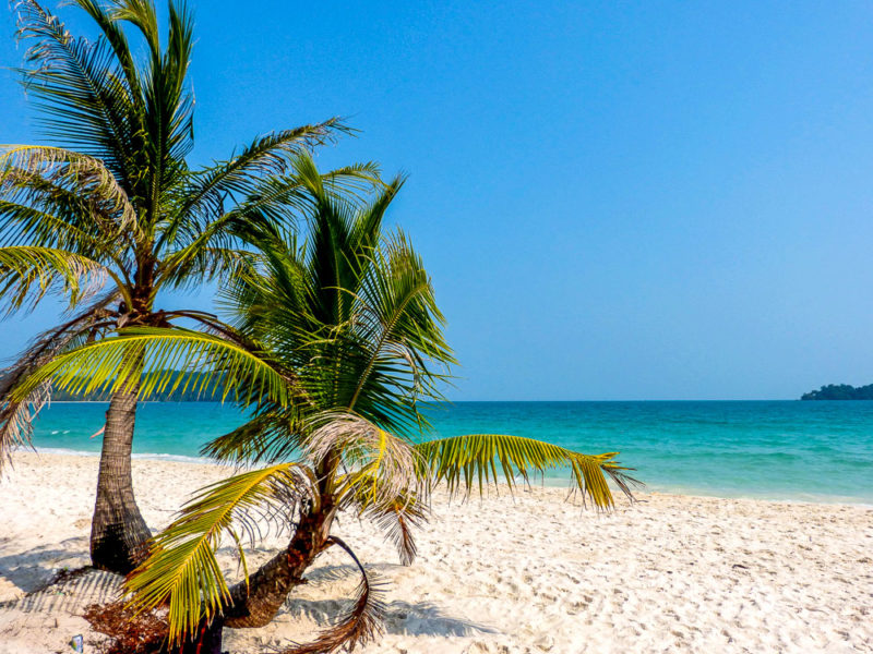 Koh Rong, Cambodia, beach and palms