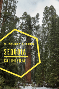 Sequoia NP Travel Guide | What to do in Sequoia NP | must-see places | Best things to see in Sequoia | Attractions and hiking in Sequoia| Sequoia, California Travel Tips