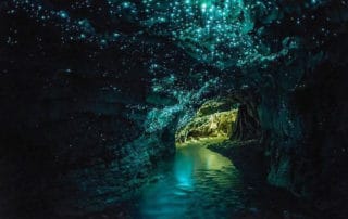 Beautiful cave in New Zealand