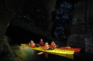 Waitomo cave with glow worms