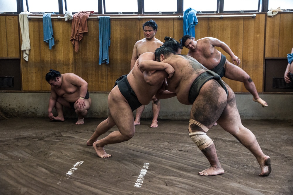 Sumo training