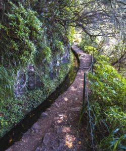 Madeira Lavada