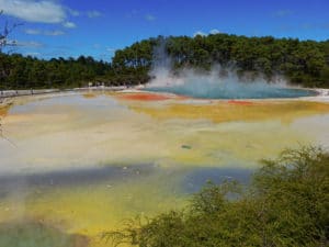 Colors in Rotorua
